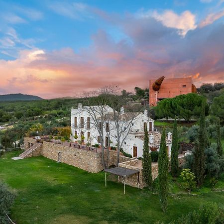 Cortijo La Organic Ξενοδοχείο Ρόντα Εξωτερικό φωτογραφία
