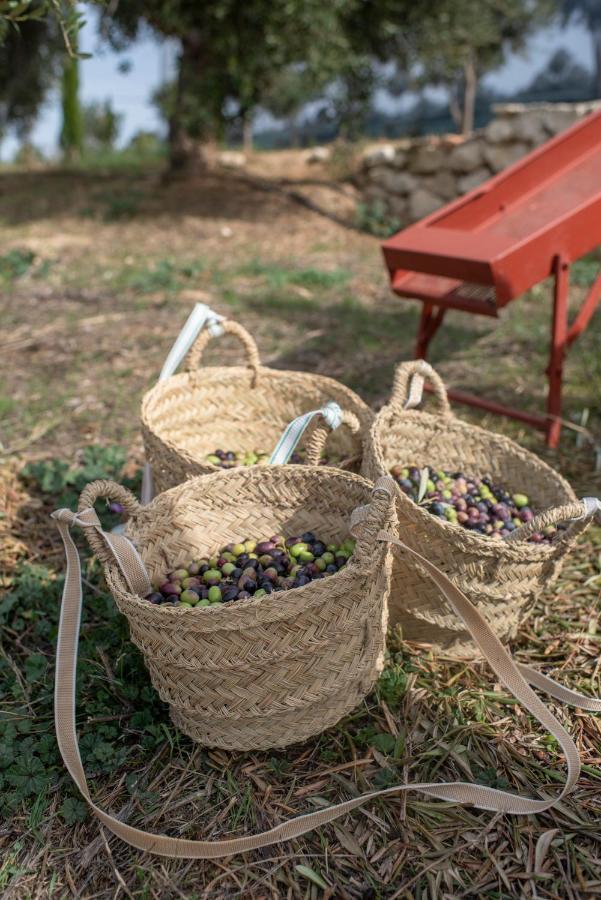 Cortijo La Organic Ξενοδοχείο Ρόντα Εξωτερικό φωτογραφία