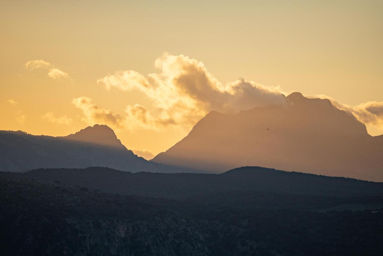 Cortijo La Organic Ξενοδοχείο Ρόντα Εξωτερικό φωτογραφία