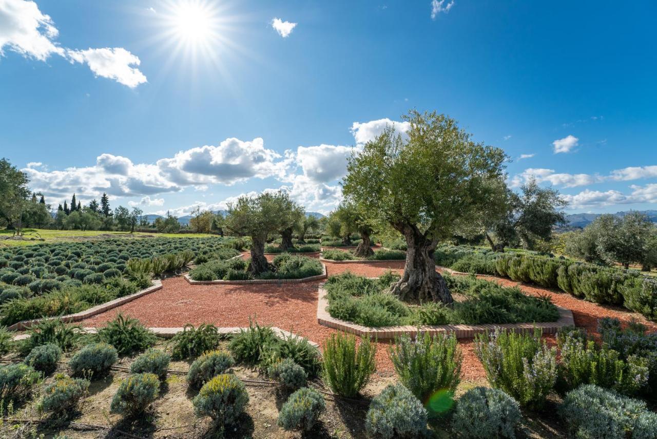 Cortijo La Organic Ξενοδοχείο Ρόντα Εξωτερικό φωτογραφία