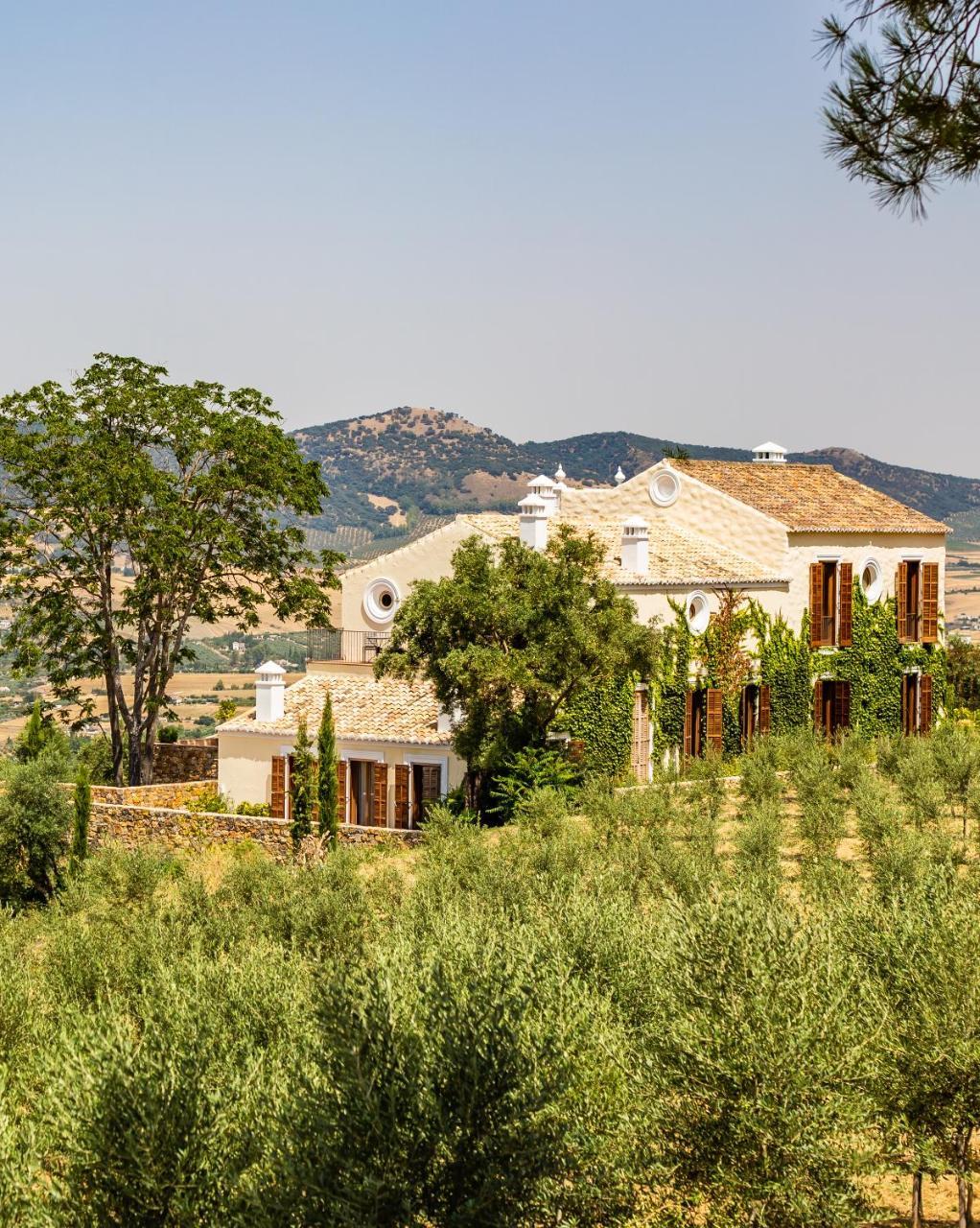 Cortijo La Organic Ξενοδοχείο Ρόντα Εξωτερικό φωτογραφία